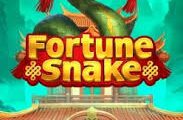 Fortune Snake