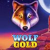 Wolf Gold